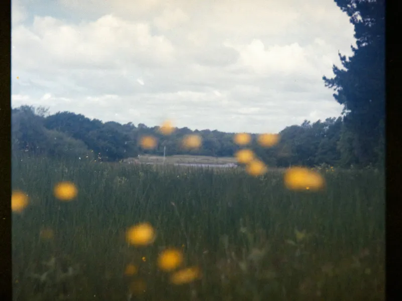 Photograph by Annie Spratt
