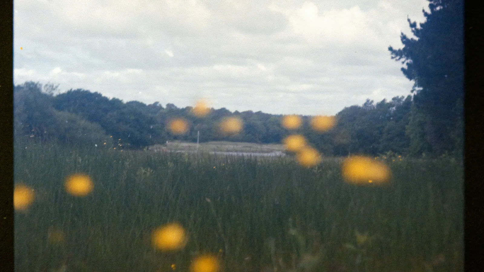 Photograph by Annie Spratt