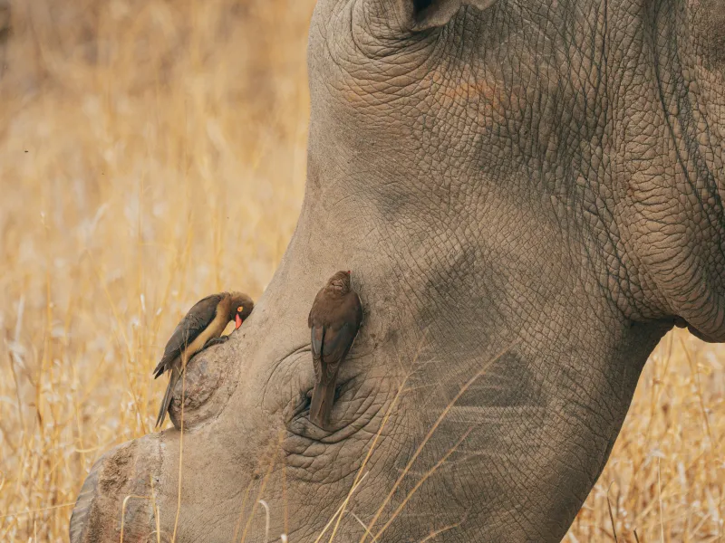 Photograph by Eric Dekker