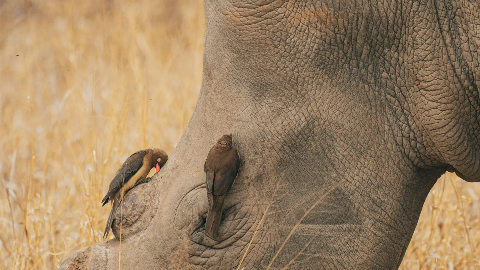Photograph by Eric Dekker