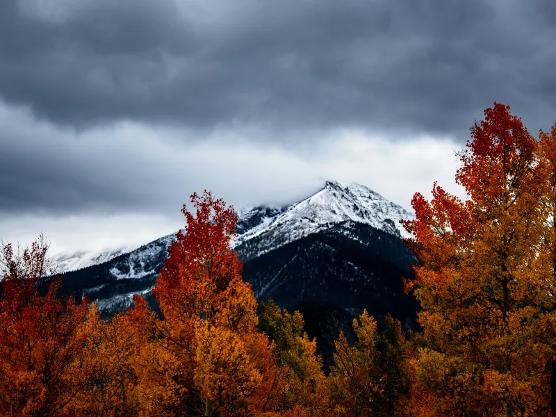 Photograph by Nathan Anderson