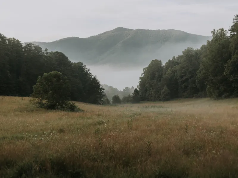 Photograph by Will Porada